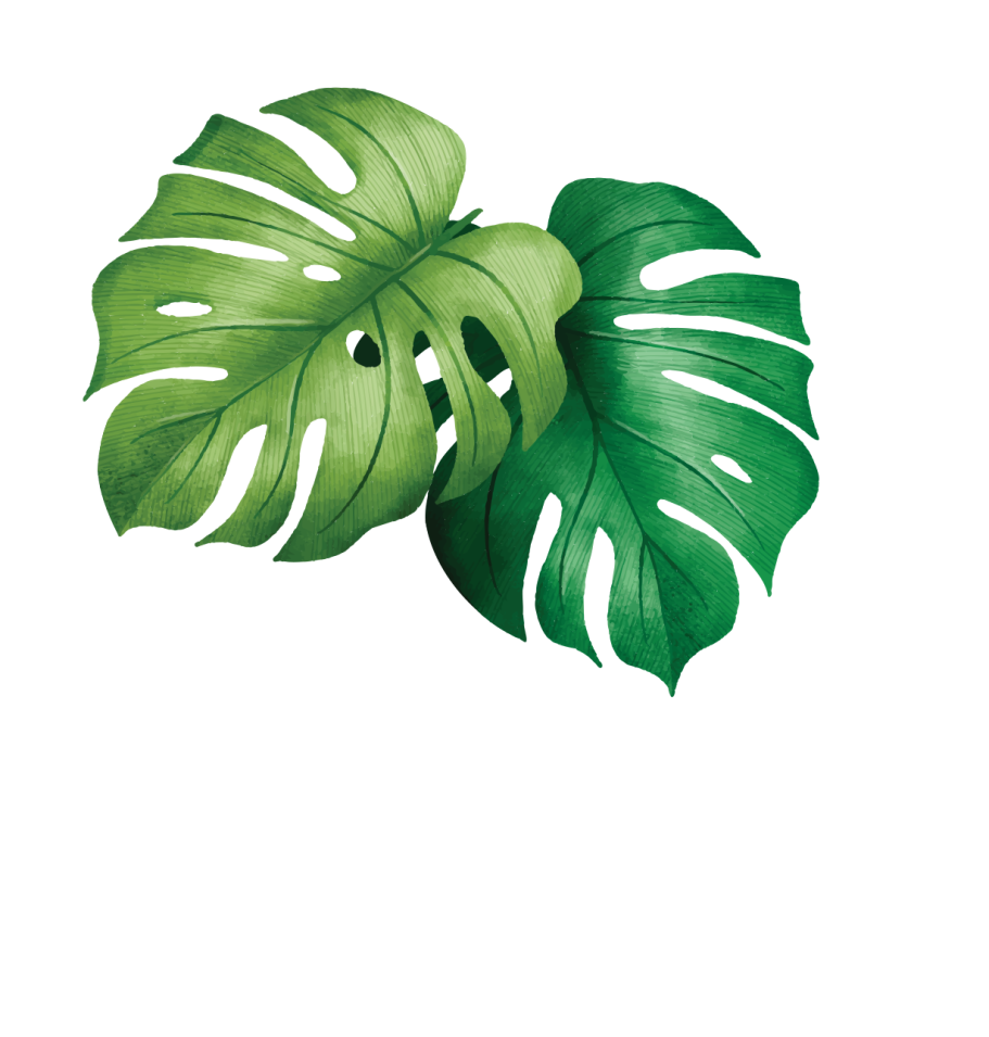 NIRO DESIGN VEGETAL